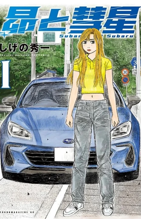 Subaru Y Subaru Es Cover Image